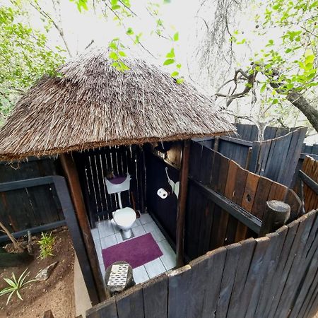 Off Beat Safaris Bush Lodge Hoedspruit Buitenkant foto