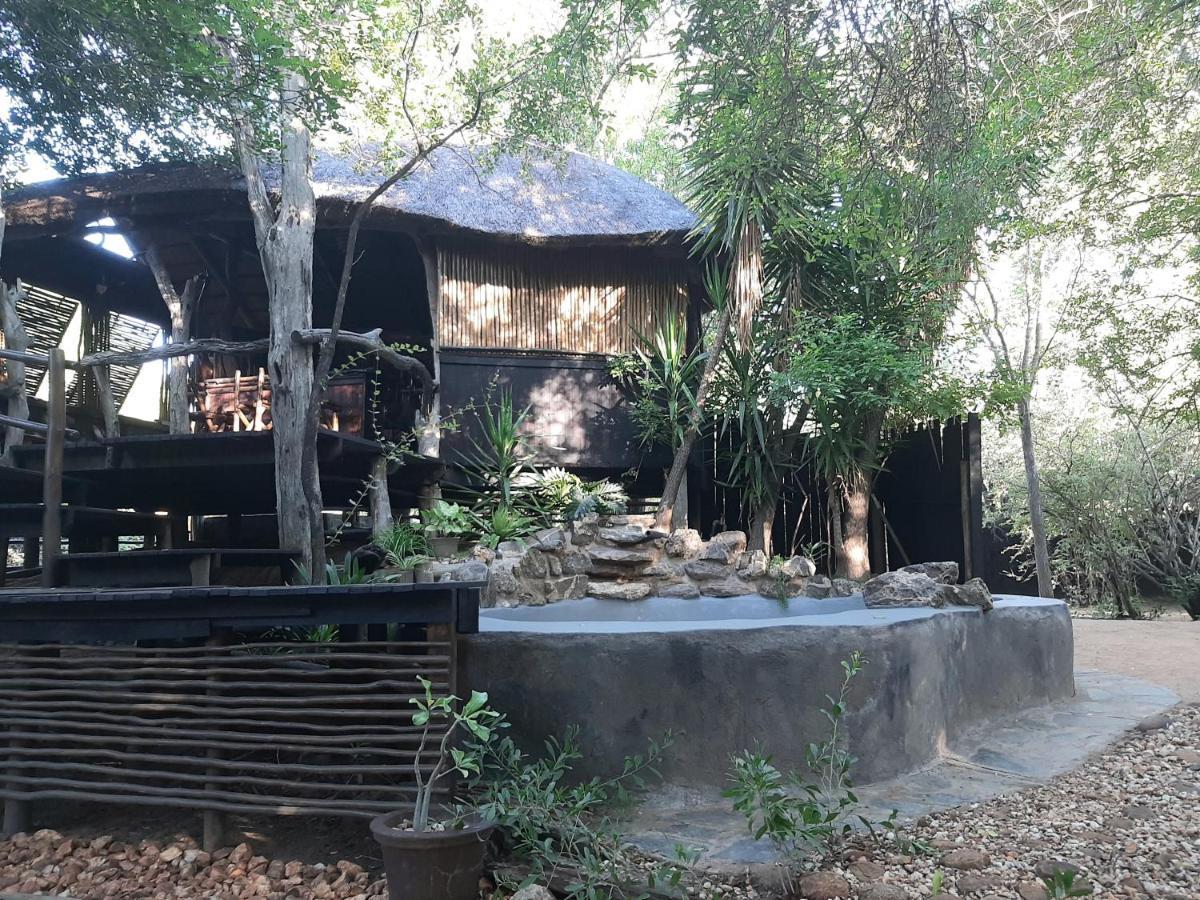 Off Beat Safaris Bush Lodge Hoedspruit Buitenkant foto