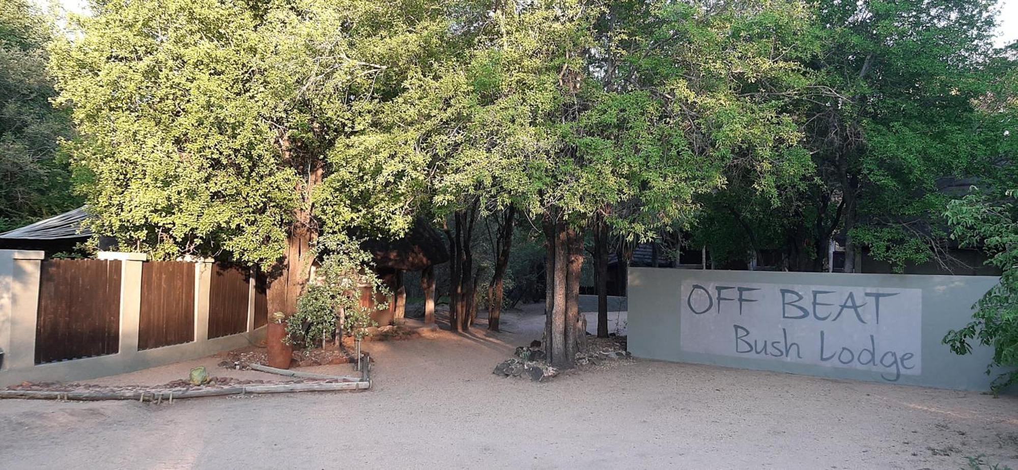 Off Beat Safaris Bush Lodge Hoedspruit Buitenkant foto