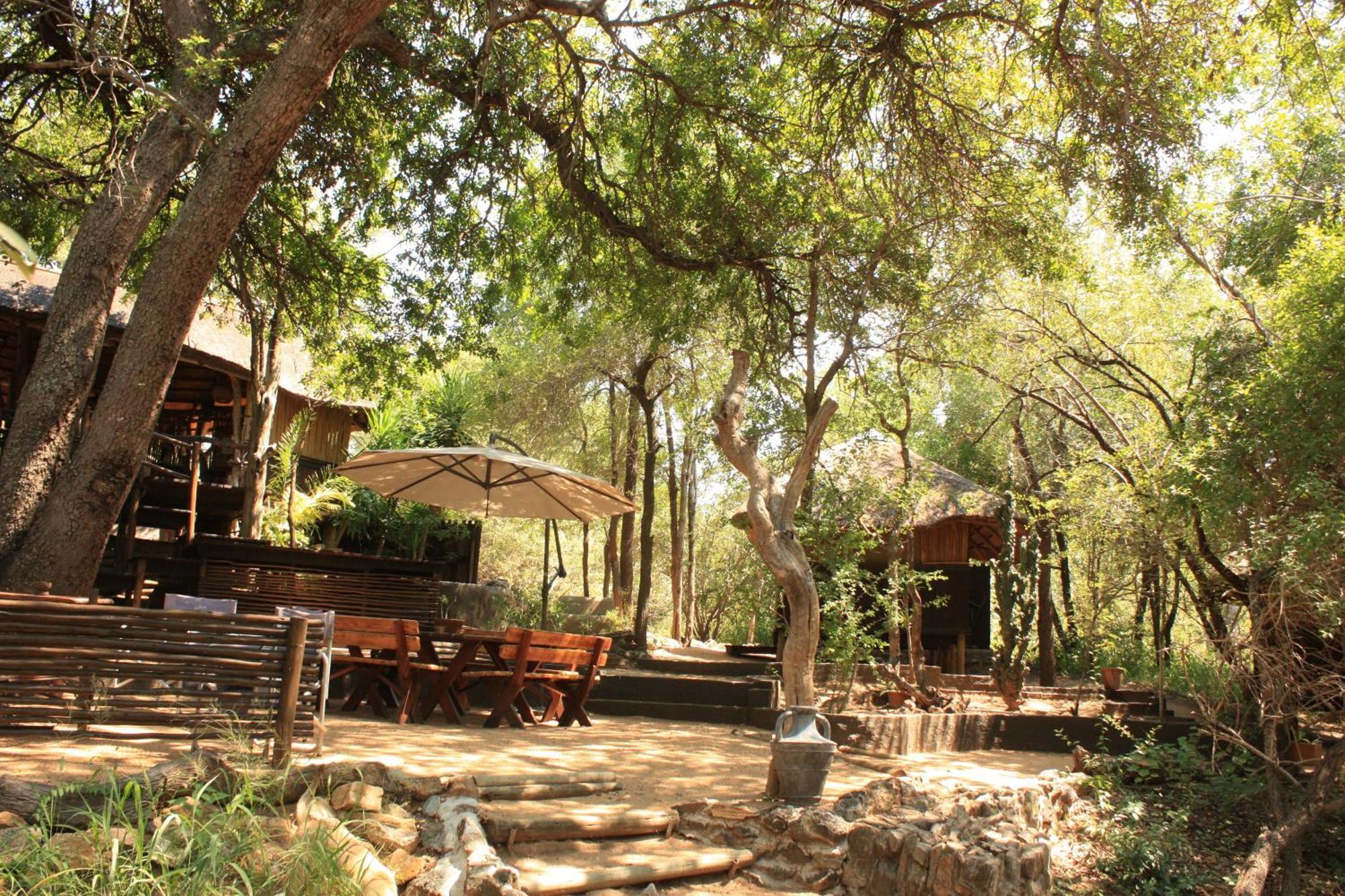 Off Beat Safaris Bush Lodge Hoedspruit Buitenkant foto