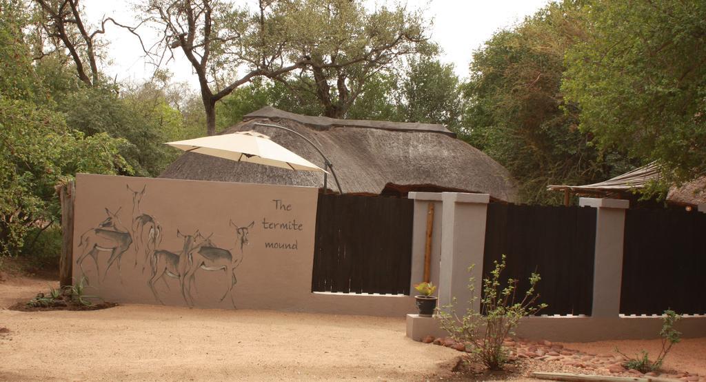 Off Beat Safaris Bush Lodge Hoedspruit Buitenkant foto
