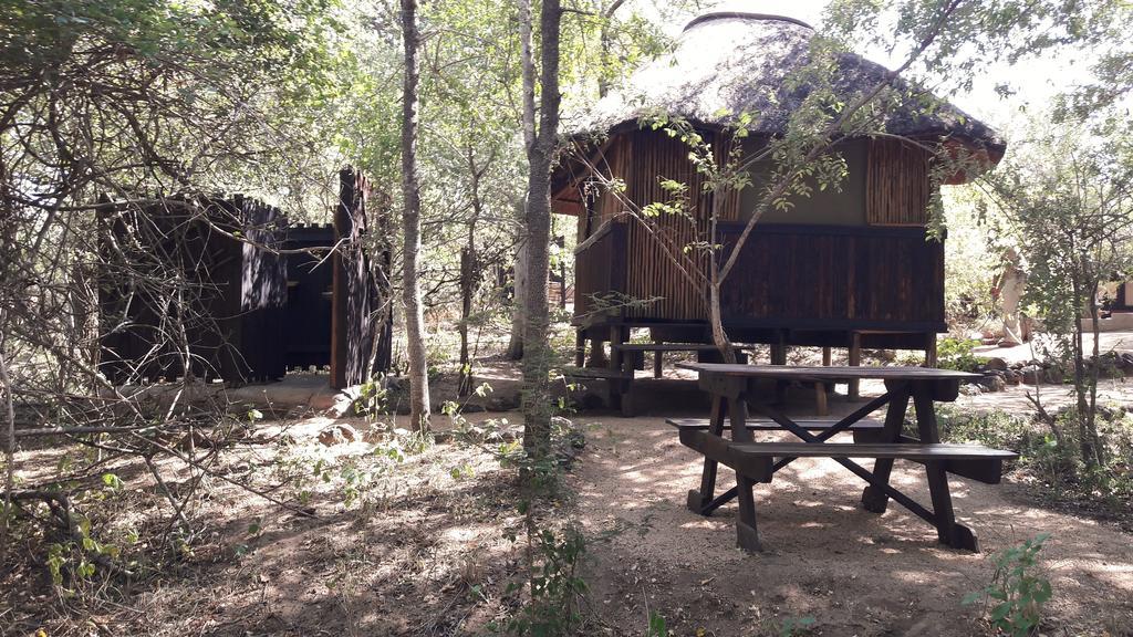 Off Beat Safaris Bush Lodge Hoedspruit Buitenkant foto