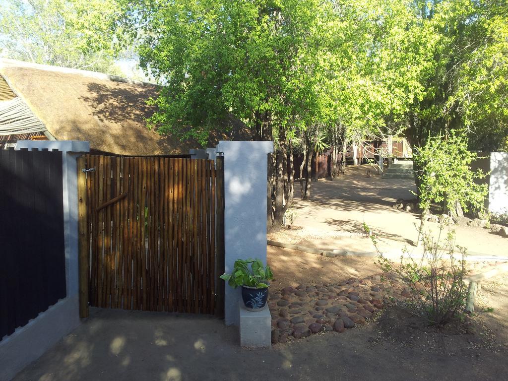 Off Beat Safaris Bush Lodge Hoedspruit Buitenkant foto