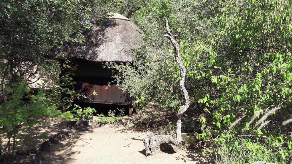 Off Beat Safaris Bush Lodge Hoedspruit Buitenkant foto