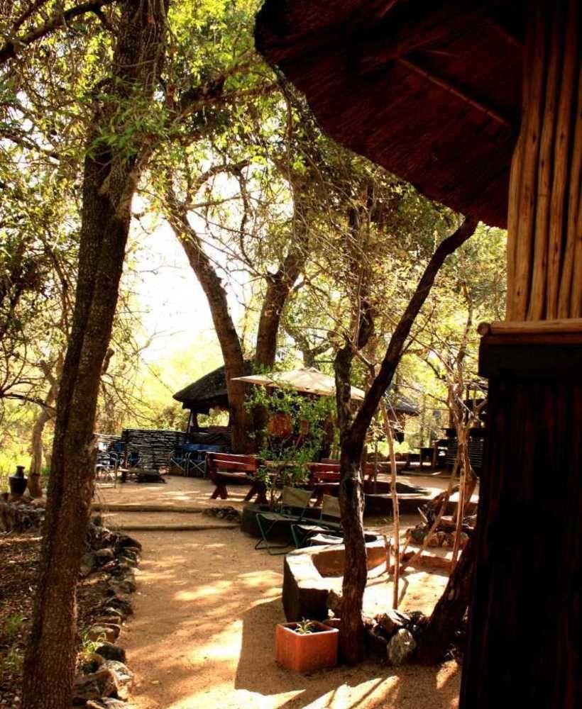 Off Beat Safaris Bush Lodge Hoedspruit Buitenkant foto