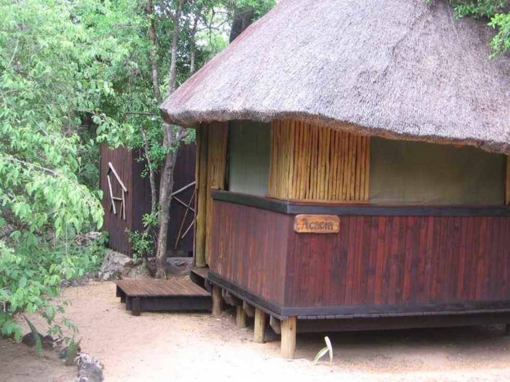 Off Beat Safaris Bush Lodge Hoedspruit Buitenkant foto