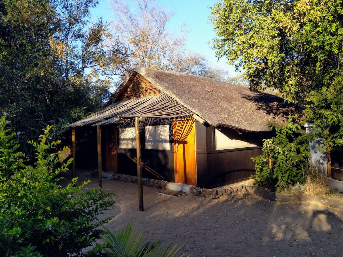 Off Beat Safaris Bush Lodge Hoedspruit Buitenkant foto