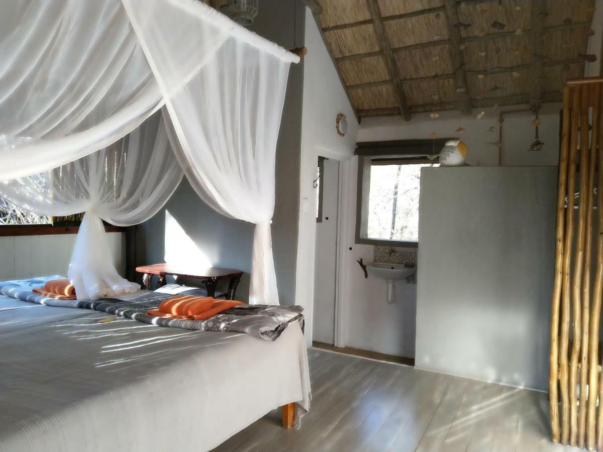 Off Beat Safaris Bush Lodge Hoedspruit Buitenkant foto