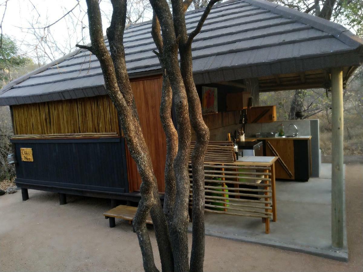 Off Beat Safaris Bush Lodge Hoedspruit Buitenkant foto