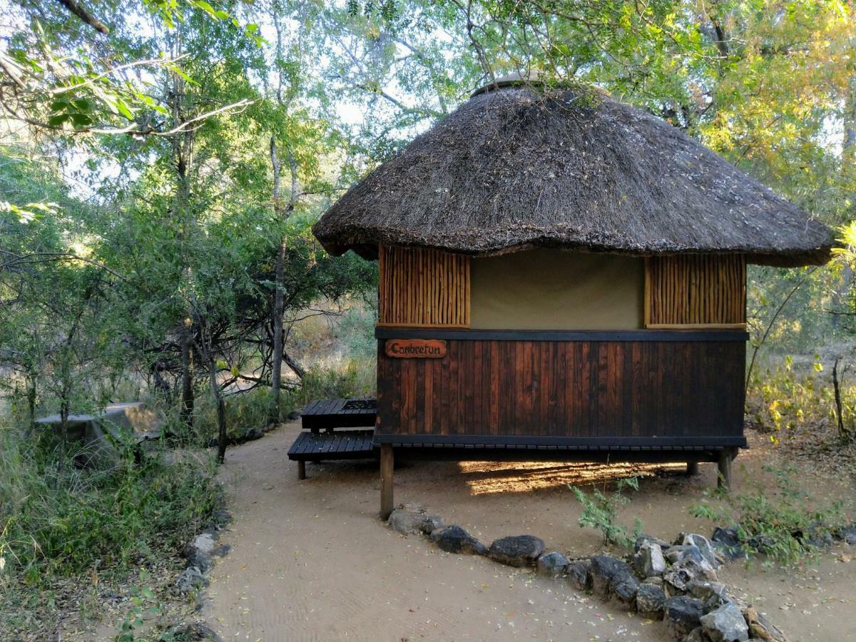 Off Beat Safaris Bush Lodge Hoedspruit Buitenkant foto
