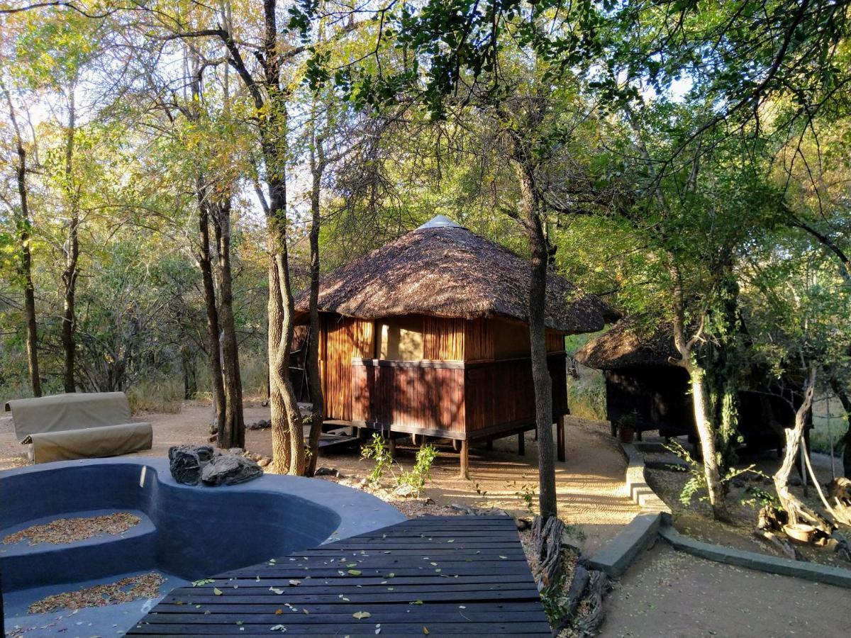 Off Beat Safaris Bush Lodge Hoedspruit Buitenkant foto