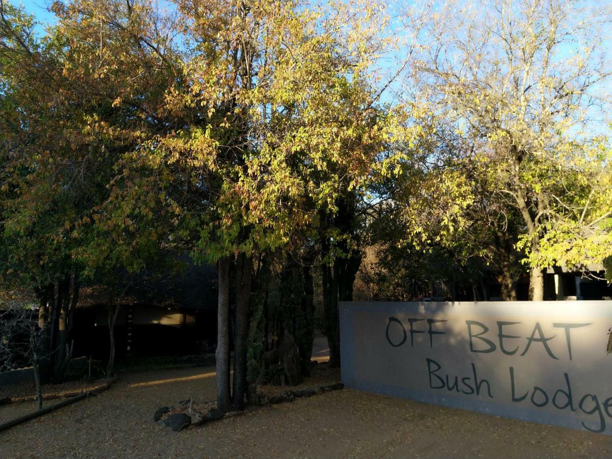 Off Beat Safaris Bush Lodge Hoedspruit Buitenkant foto