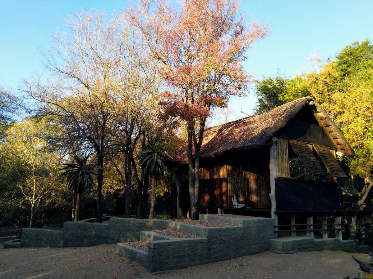 Off Beat Safaris Bush Lodge Hoedspruit Buitenkant foto