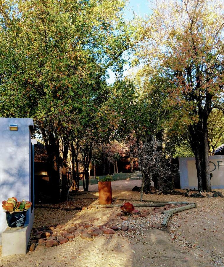 Off Beat Safaris Bush Lodge Hoedspruit Buitenkant foto