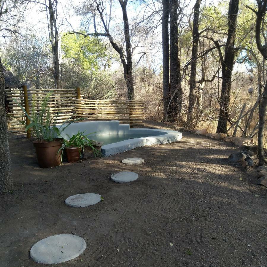 Off Beat Safaris Bush Lodge Hoedspruit Buitenkant foto