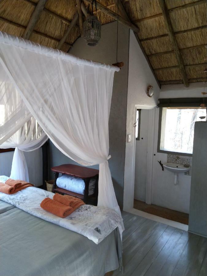 Off Beat Safaris Bush Lodge Hoedspruit Buitenkant foto